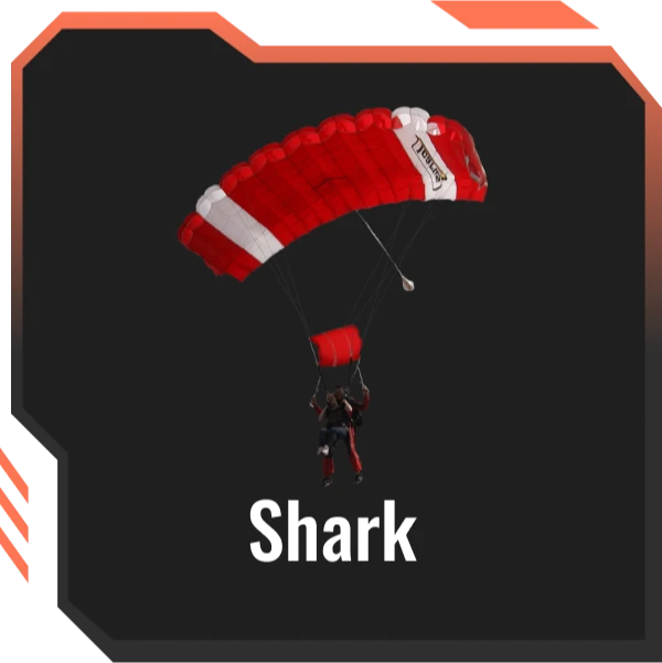 Skin Tool